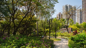 Meandering paths encourage visitors to wander through enclosed garden areas that offer colourful flowering displays.